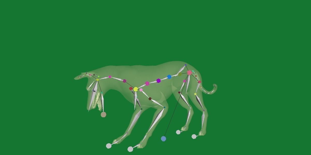 Pharaoh Hound Dog 3D model_14