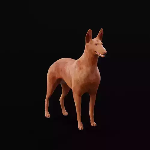 Pharaoh Hound Dog 3D model