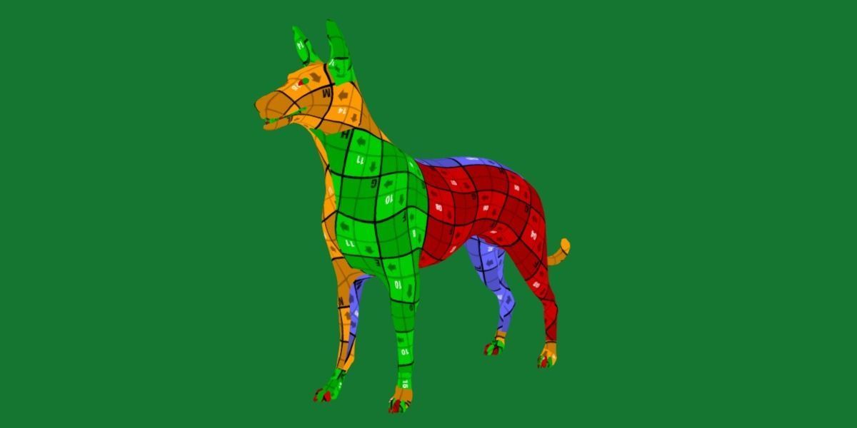 Pharaoh Hound Dog 3D model_12