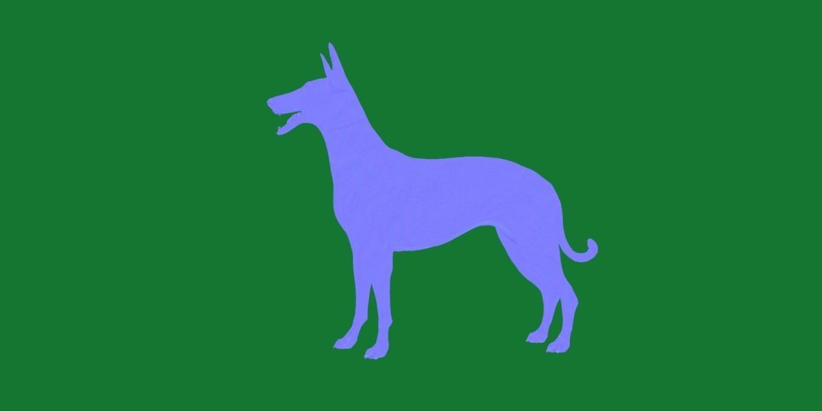 Pharaoh Hound Dog 3D model_20