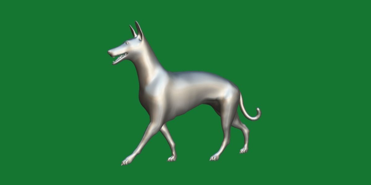 Pharaoh Hound Dog 3D model_7