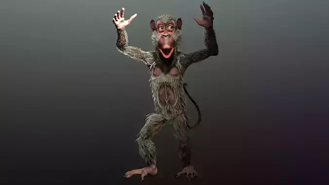 monkey  High quality character full Rigged and Animated 