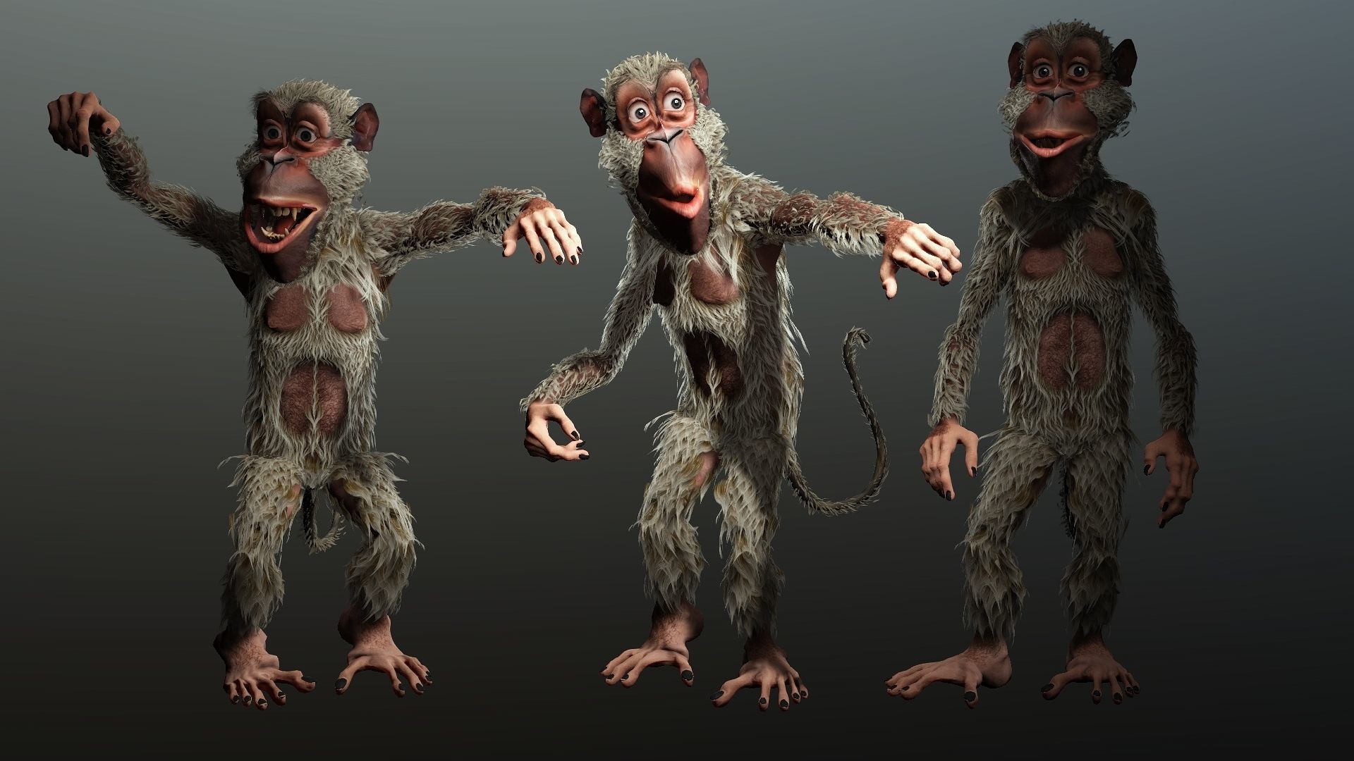monkey  High quality character full Rigged and Animated  3D model_6