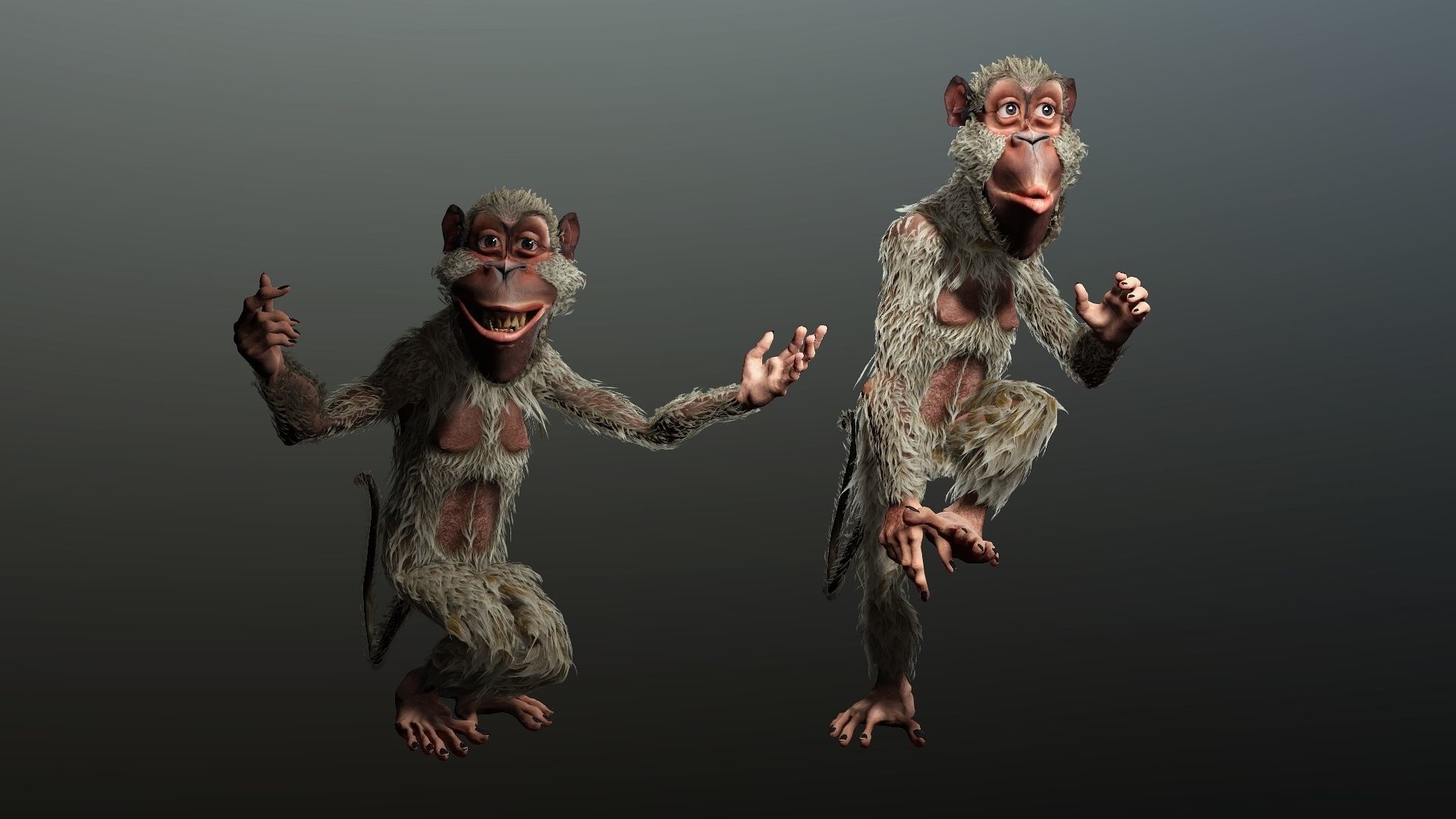 monkey  High quality character full Rigged and Animated  3D model_10