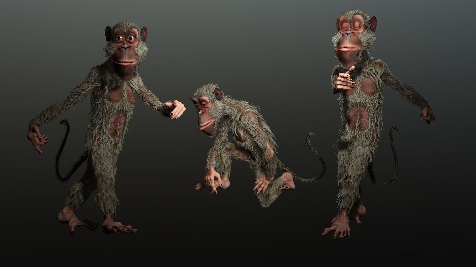 monkey  High quality character full Rigged and Animated  3D model_8