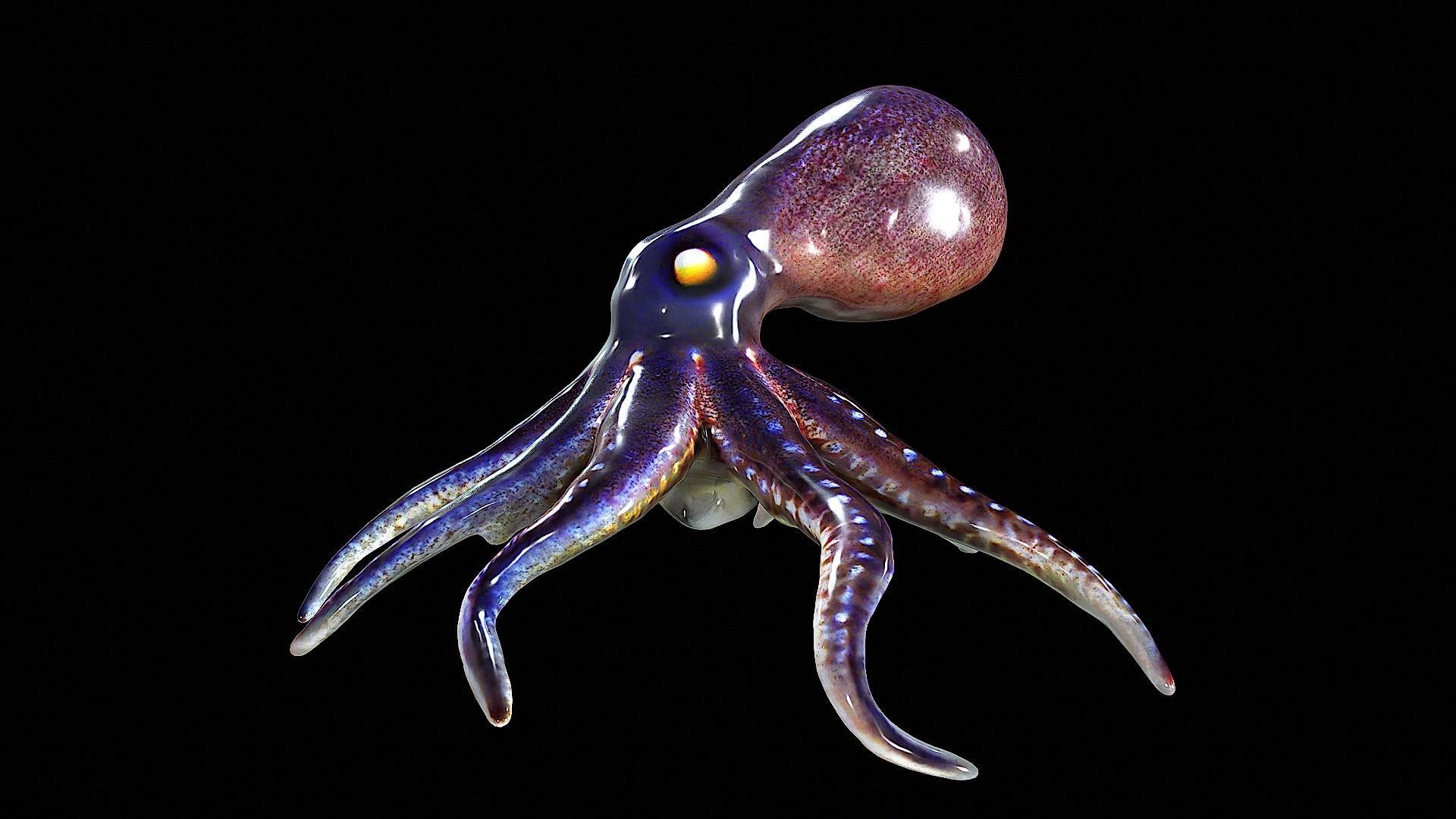 Awesome Squid 3D model_5