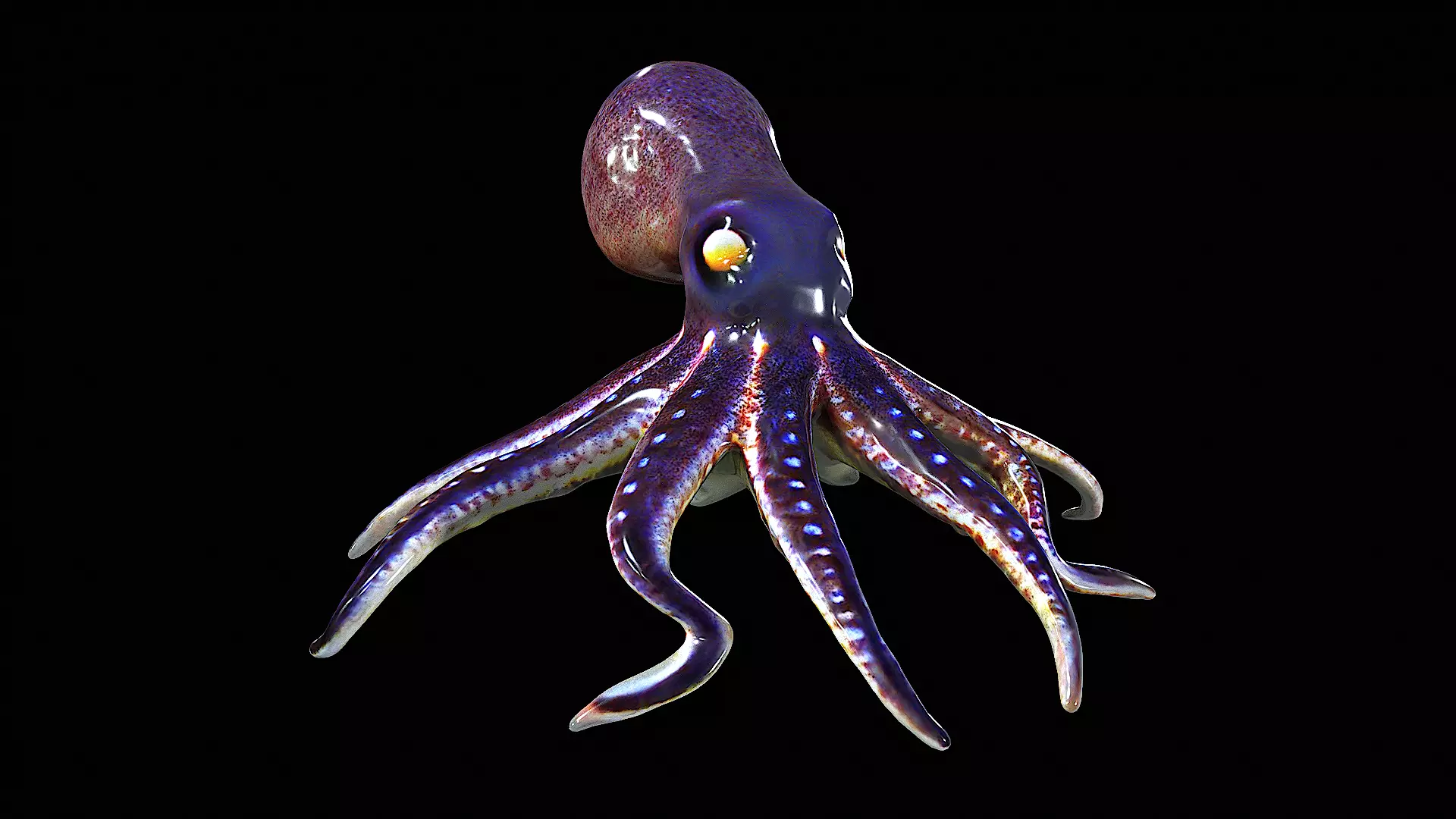 Awesome Squid 3D model_0