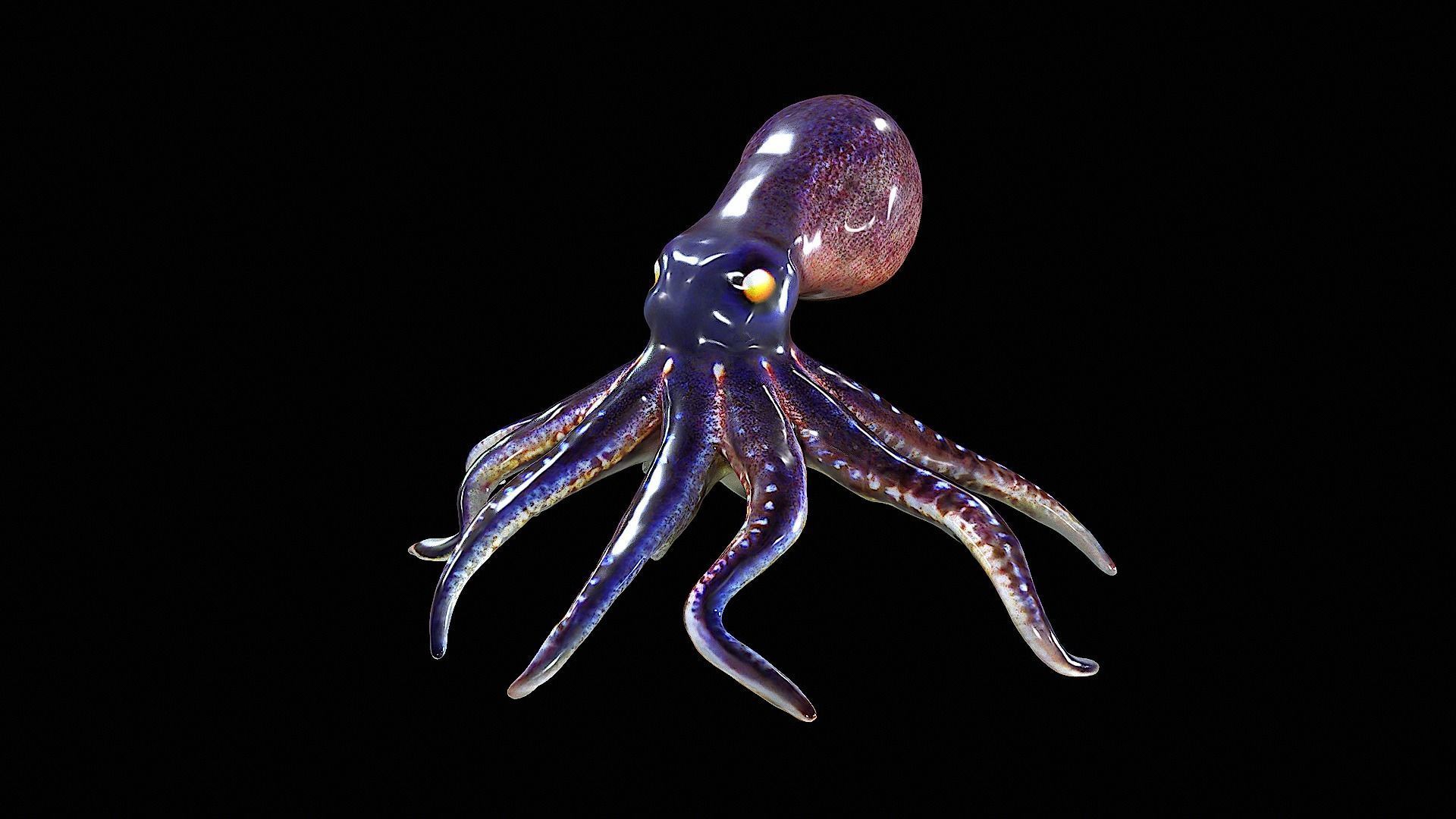 Awesome Squid 3D model_6