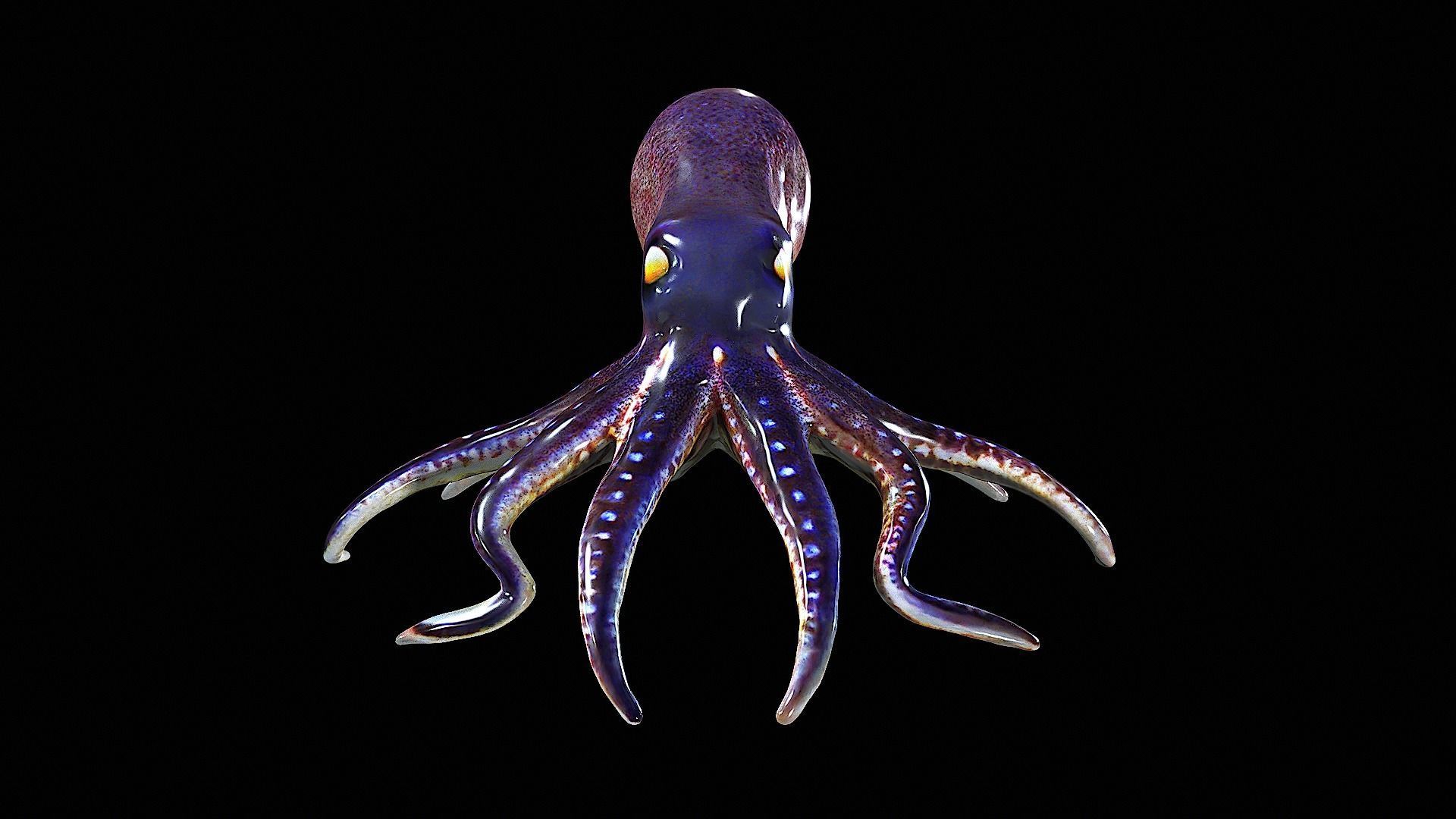 Awesome Squid 3D model_7