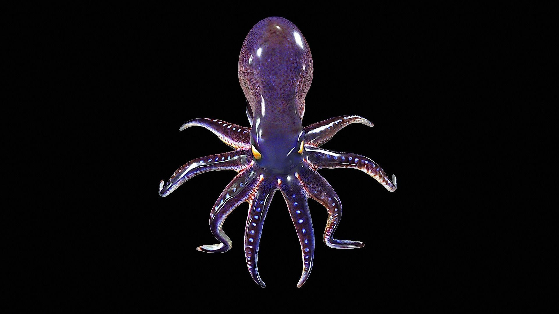 Awesome Squid 3D model_8