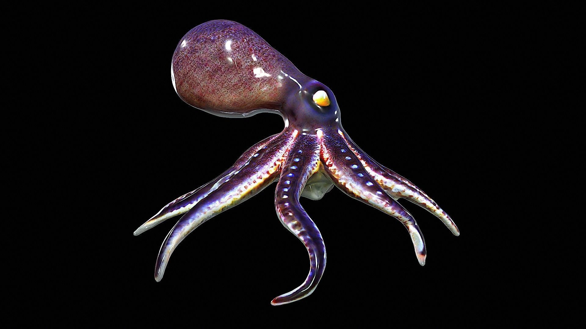 Awesome Squid 3D model_1