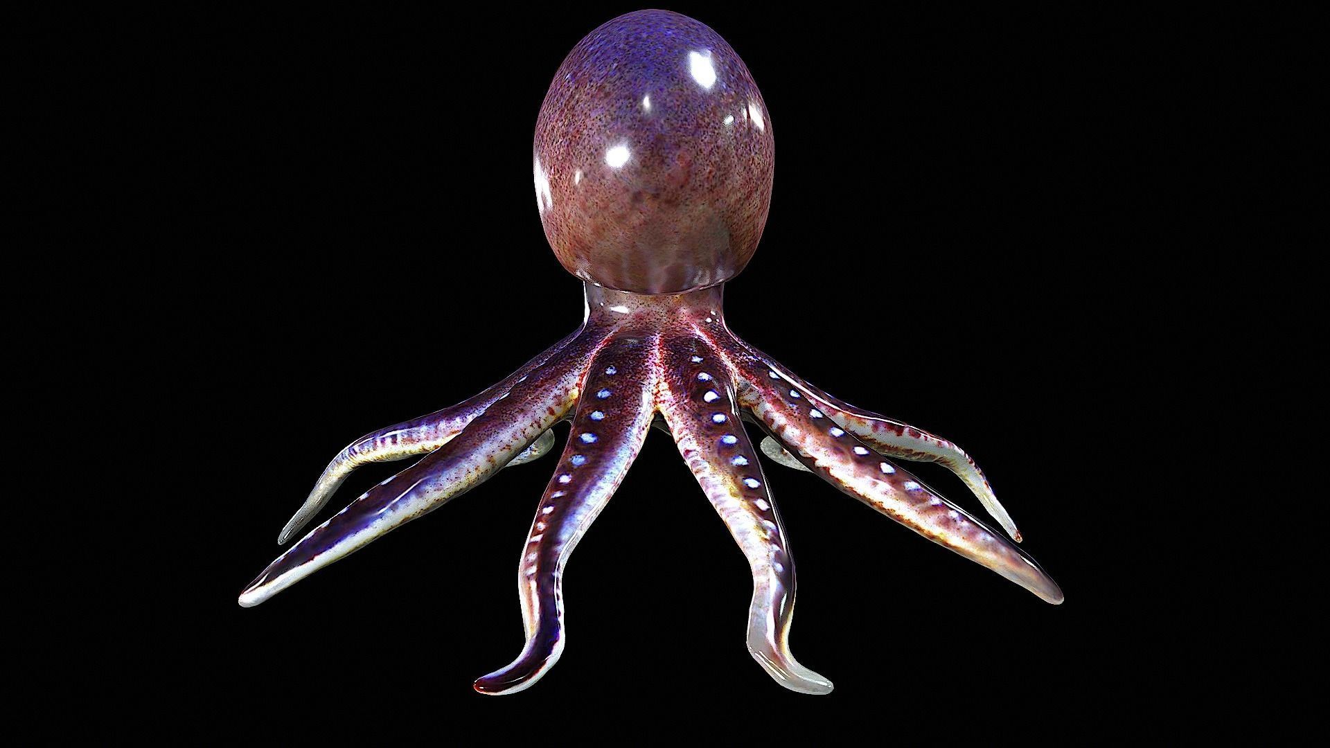 Awesome Squid 3D model_3