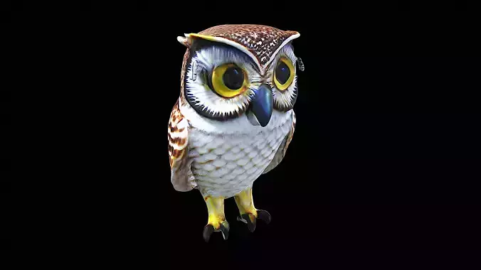Awesome Owl