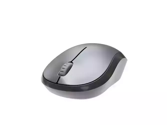 Computer Mouse