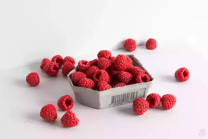 Raspberry 3D model
