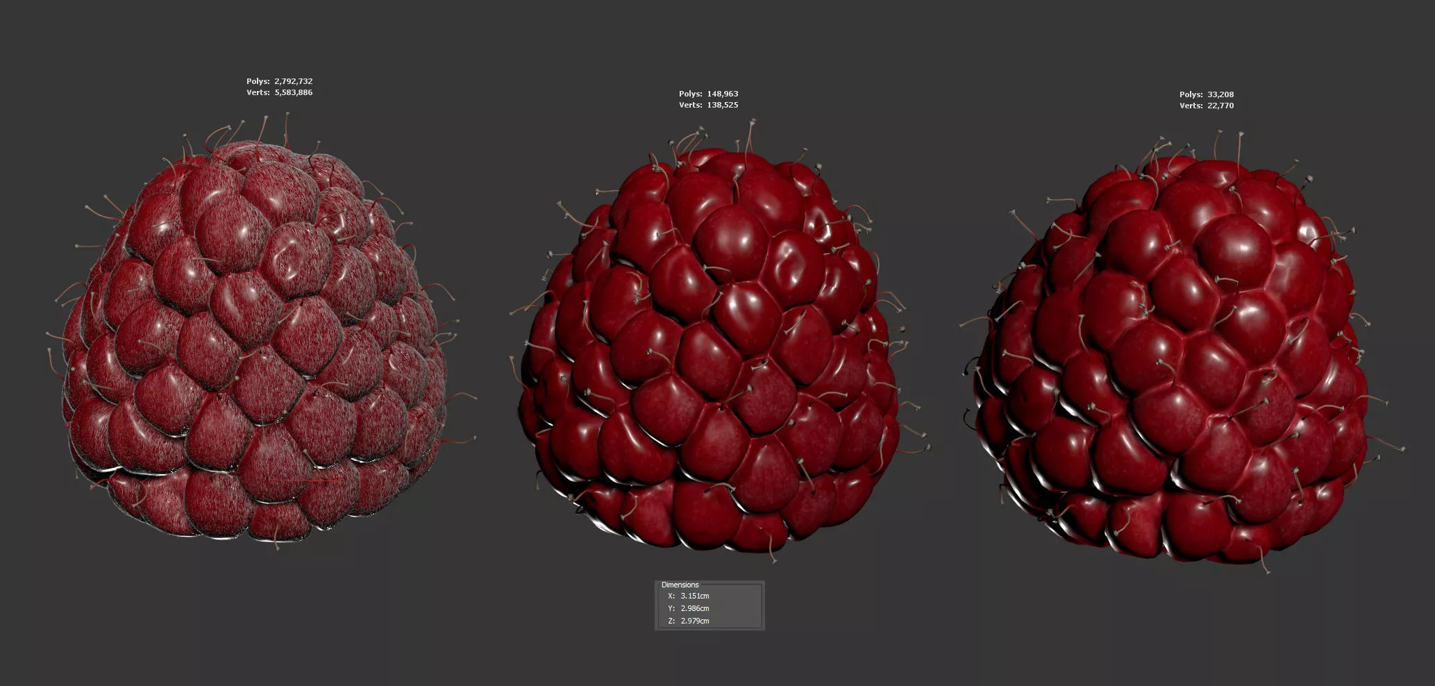 Raspberry 3D model_5