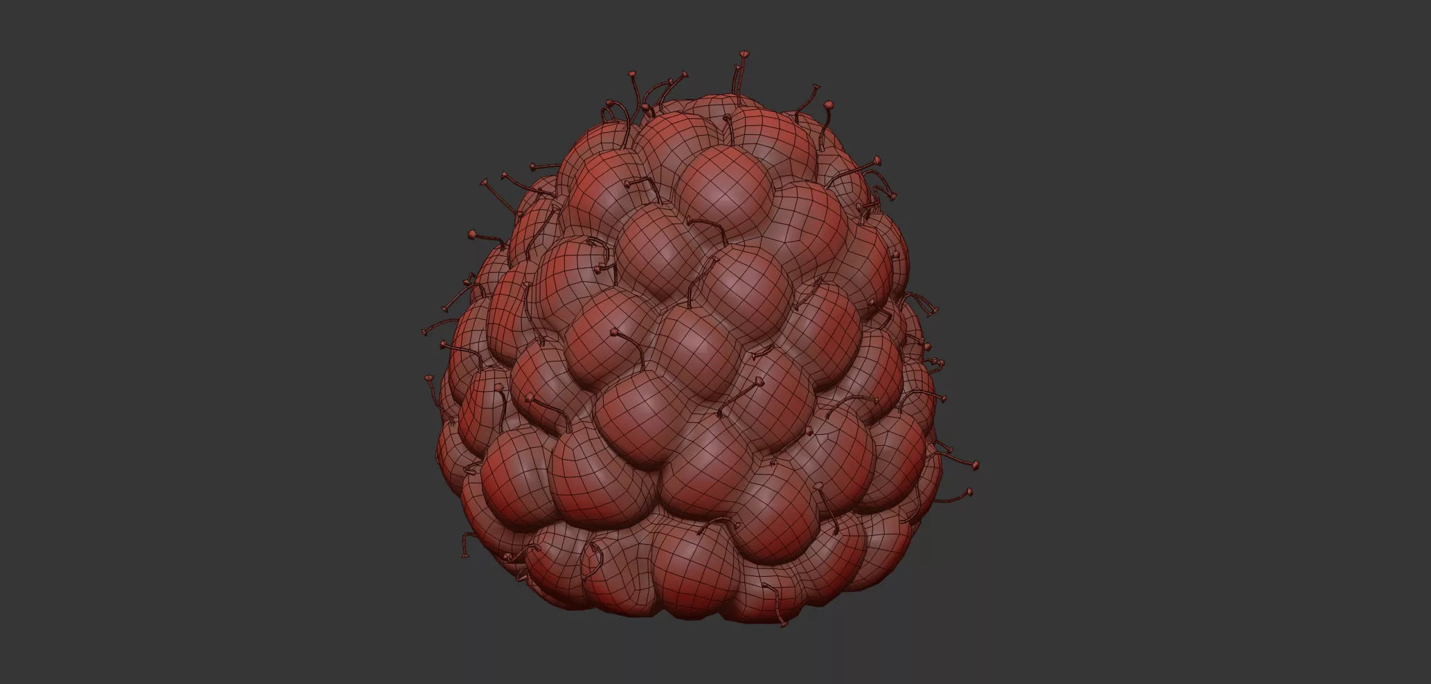 Raspberry 3D model_6