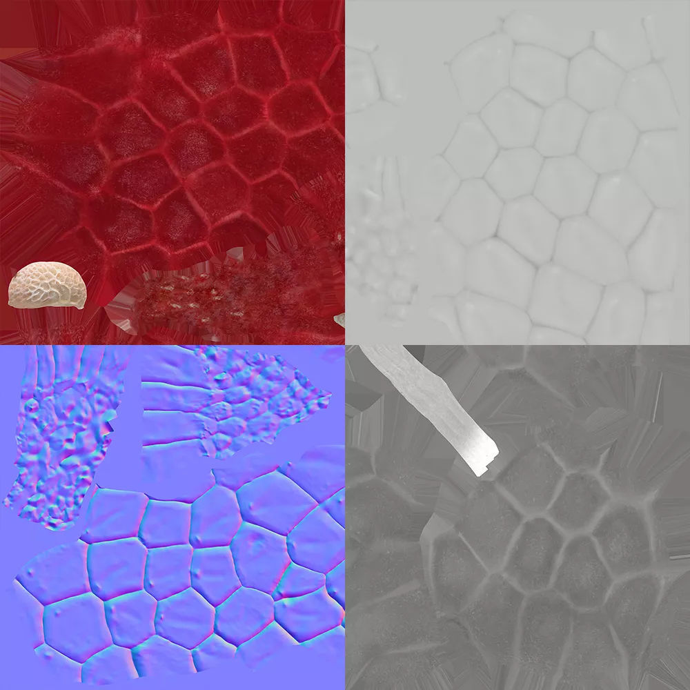 Raspberry 3D model_8