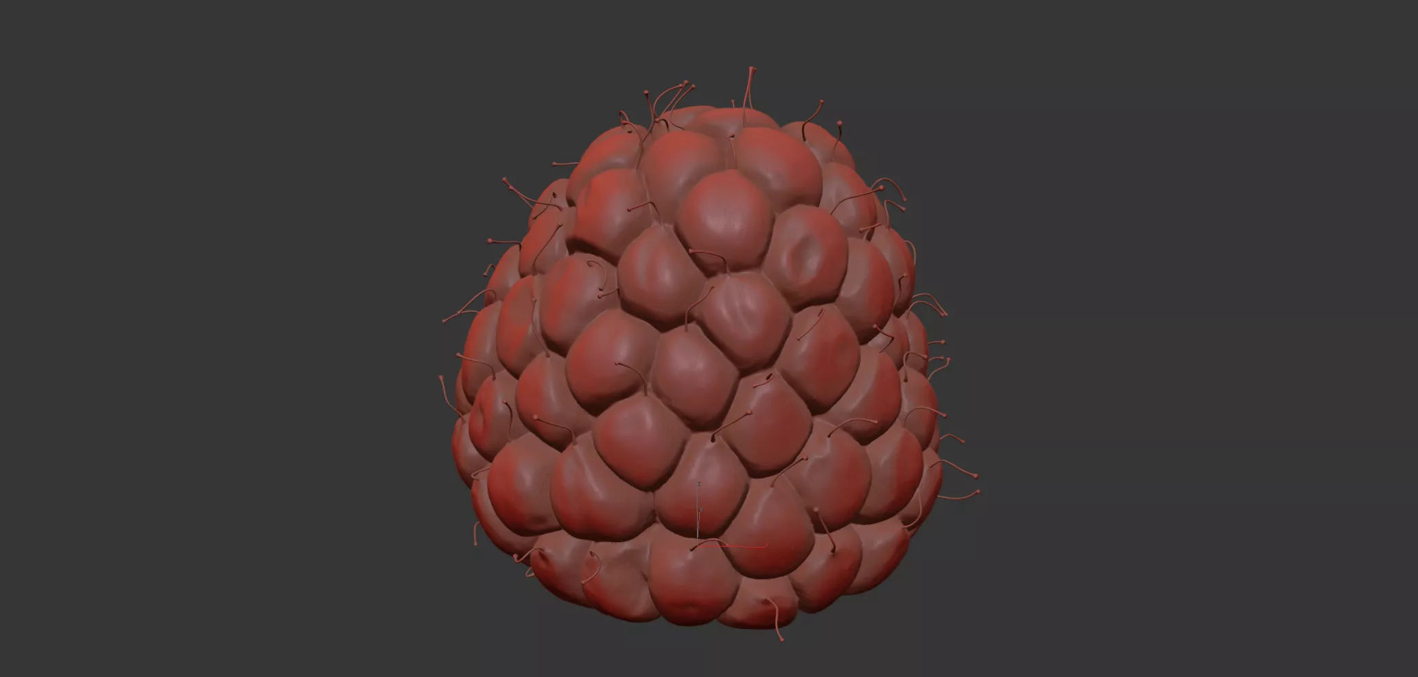 Raspberry 3D model_7