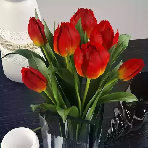 Decorative set with tulips 