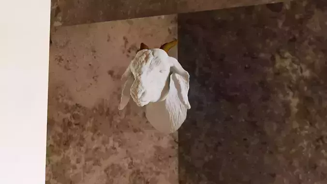 indian goat head wall mount stl 3d print file