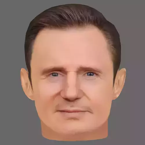 Liam Neeson Head - Low poly head for game