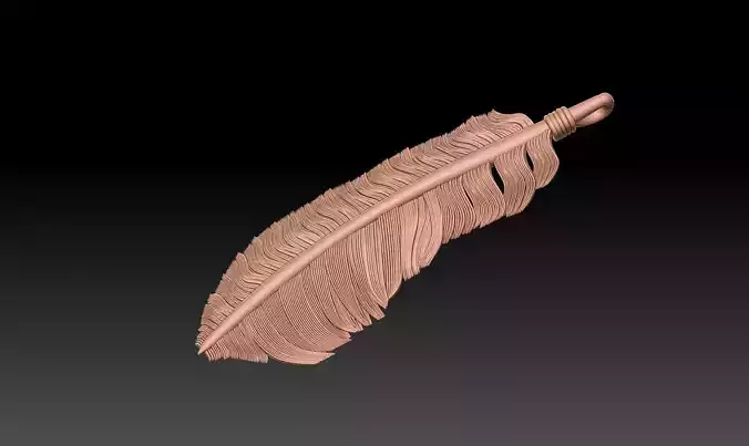 FEATHER MODEL