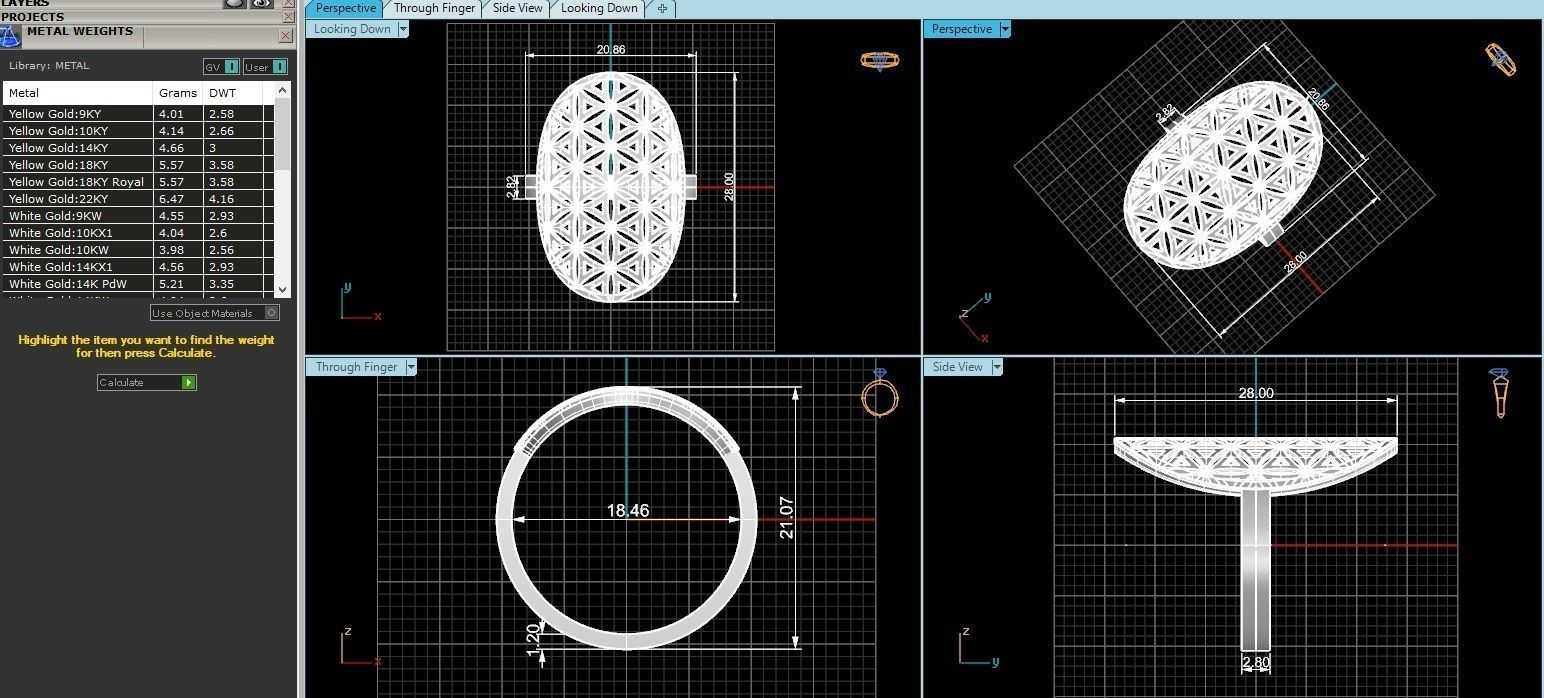 Fusion Wire Mesh Plain Gold Ring 3dm stl renders details 3D print model_3