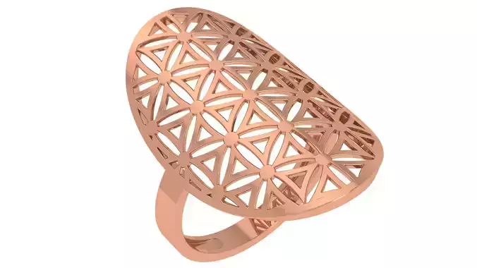 Fusion Wire Mesh Plain Gold Ring 3dm stl renders details 3D print model