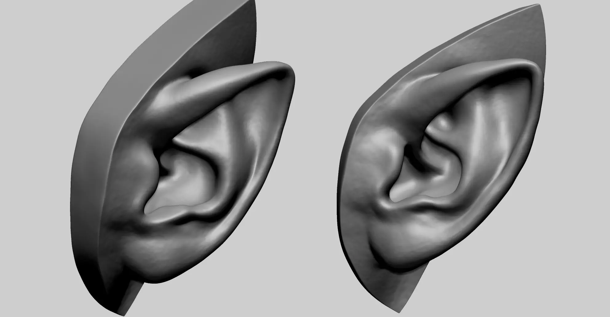 Ear Model D 3D model_0