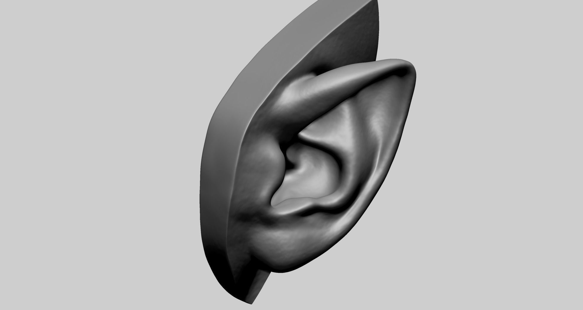 Ear Model D 3D model_2