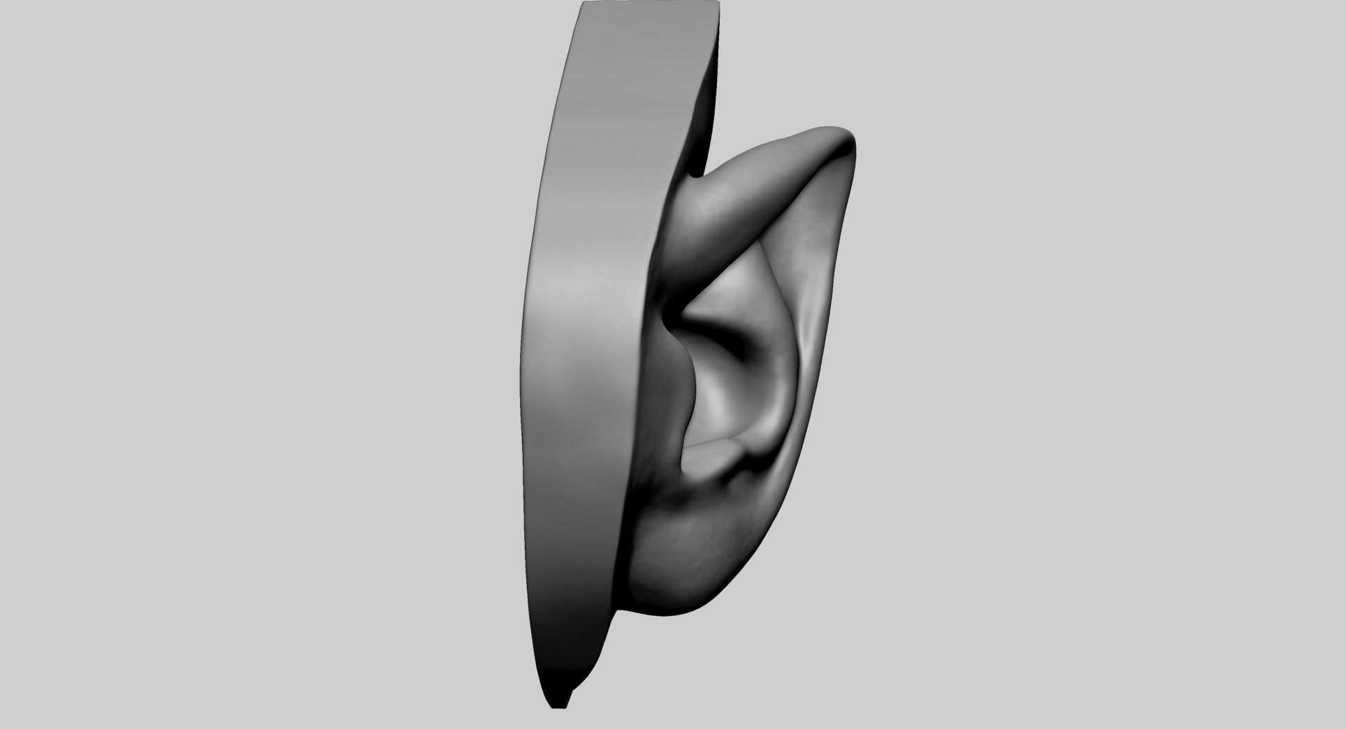 Ear Model D 3D model_3