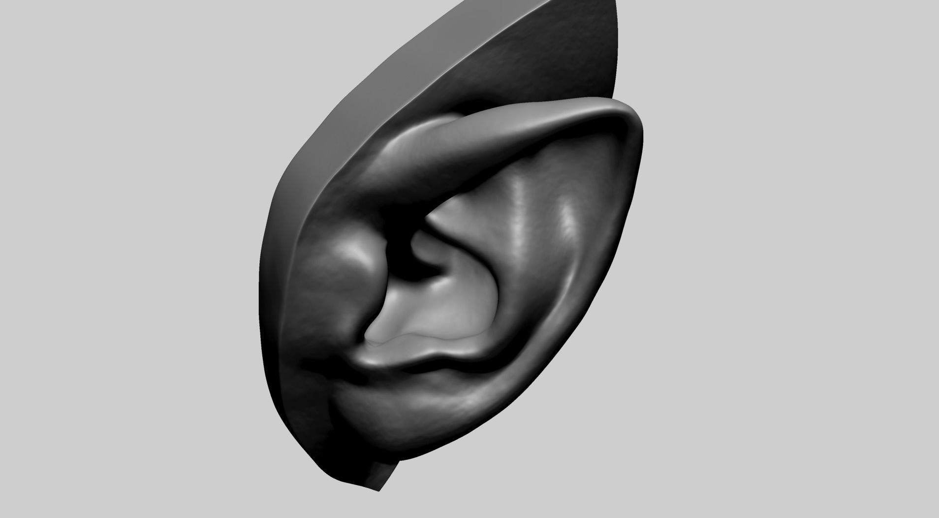 Ear Model D 3D model_8