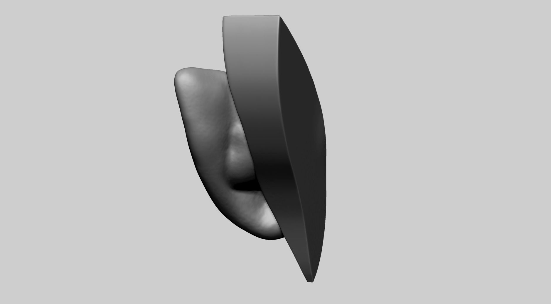 Ear Model D 3D model_5