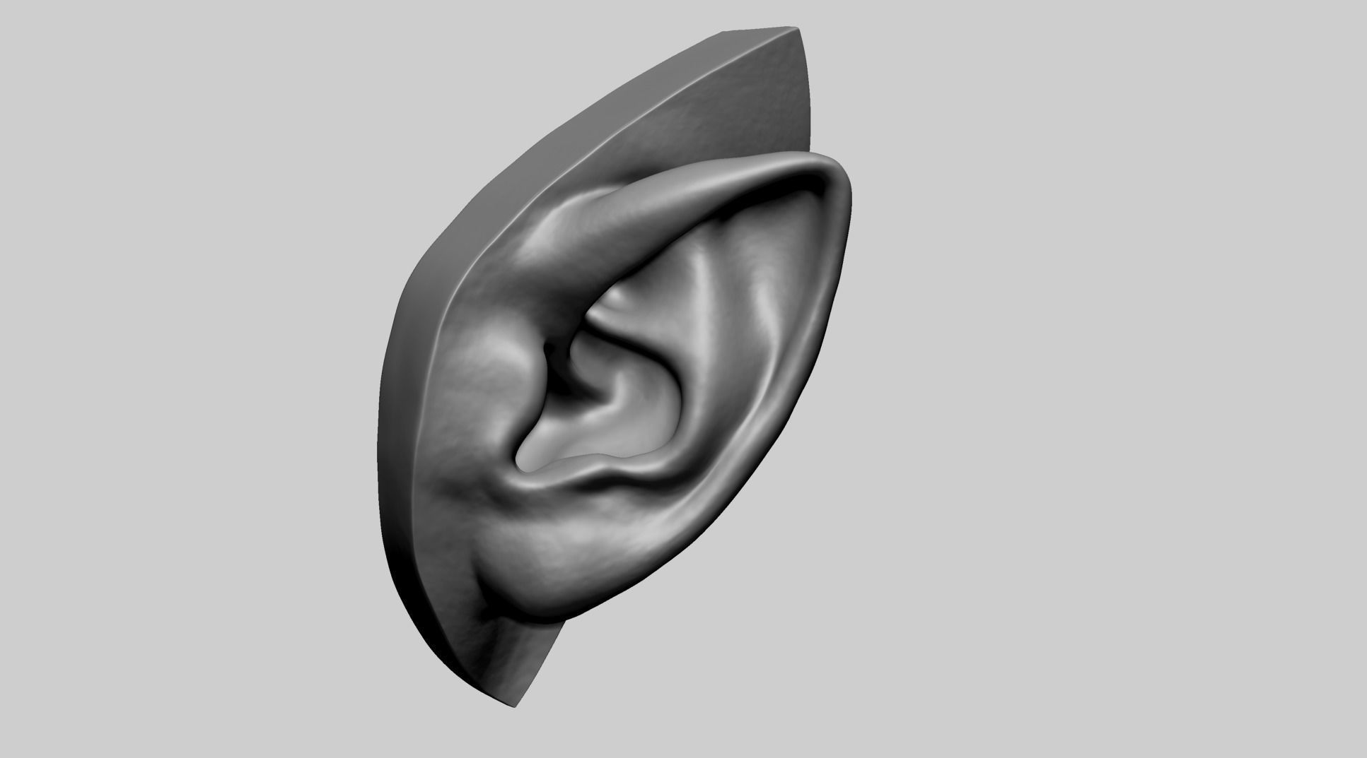 Ear Model D 3D model_7