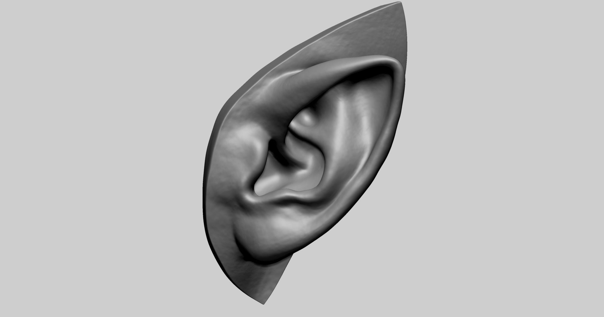 Ear Model D 3D model_1