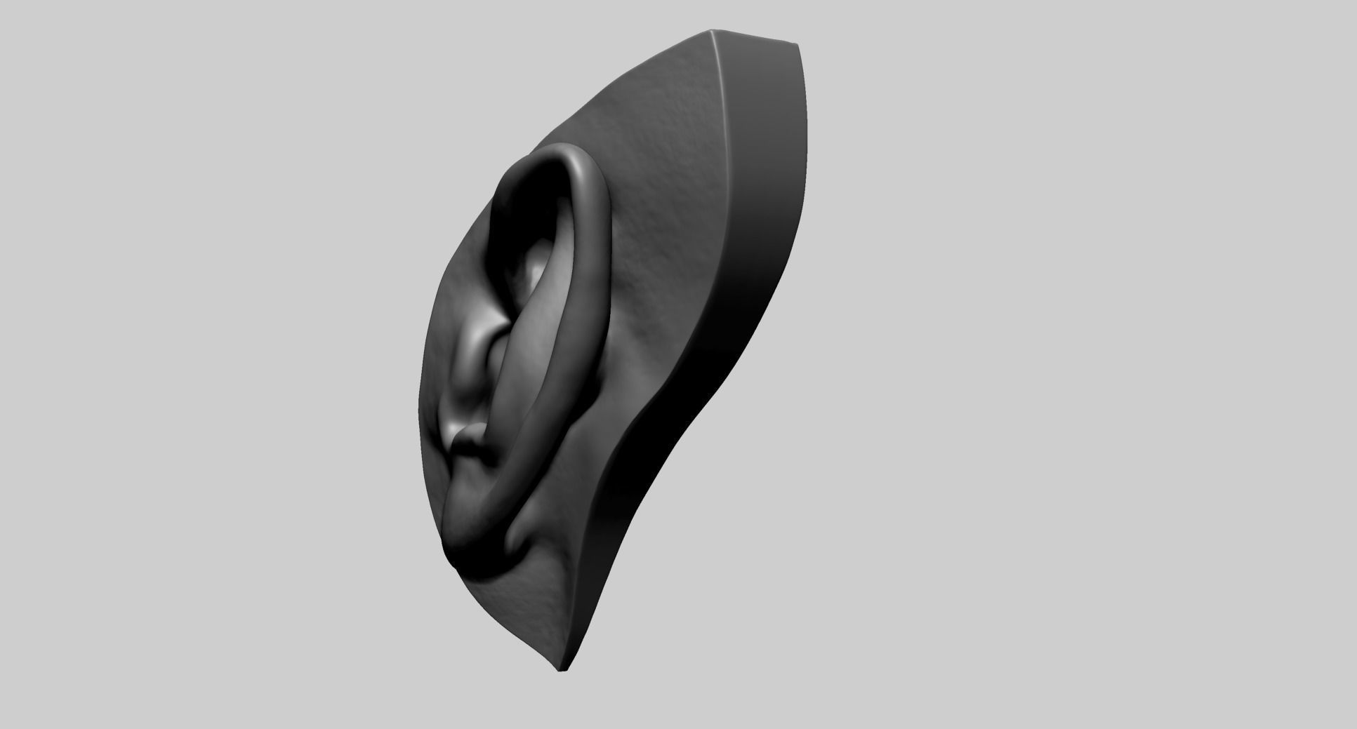 Ear Model D 3D model_6