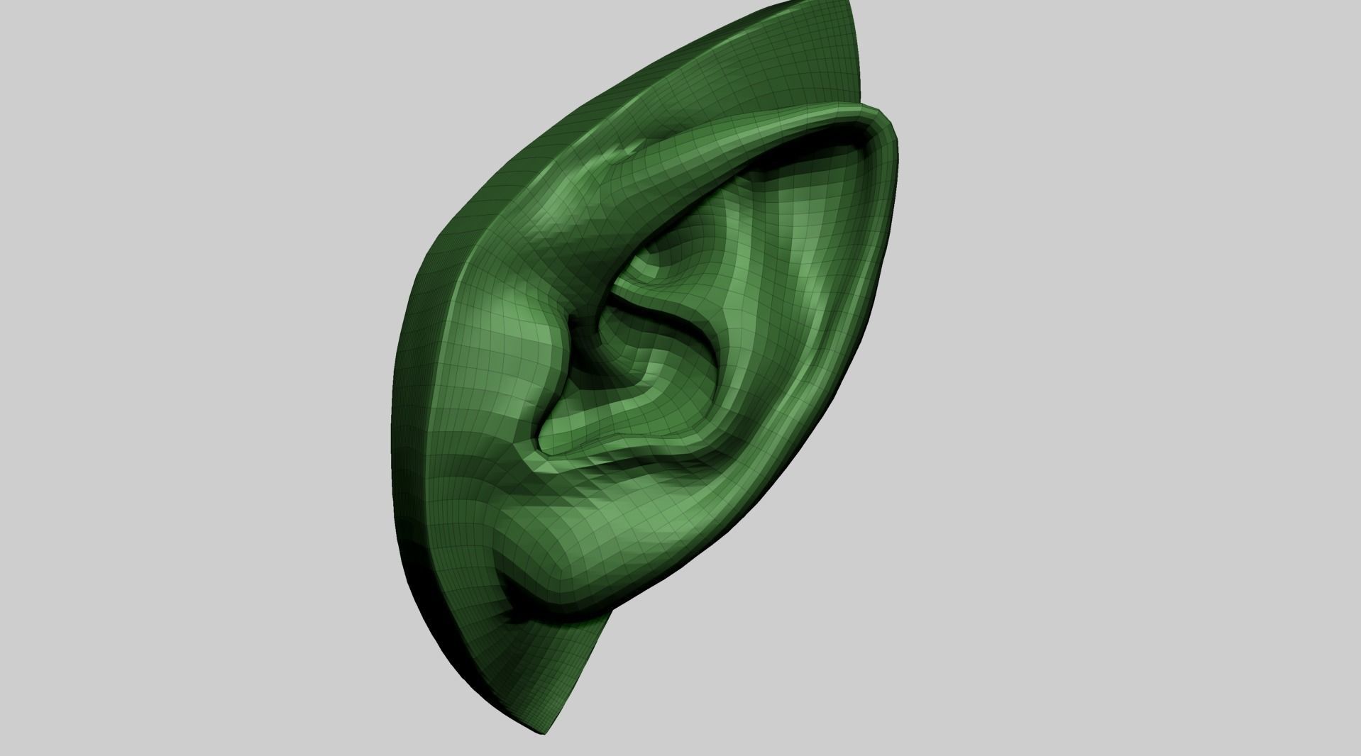 Ear Model D 3D model_9
