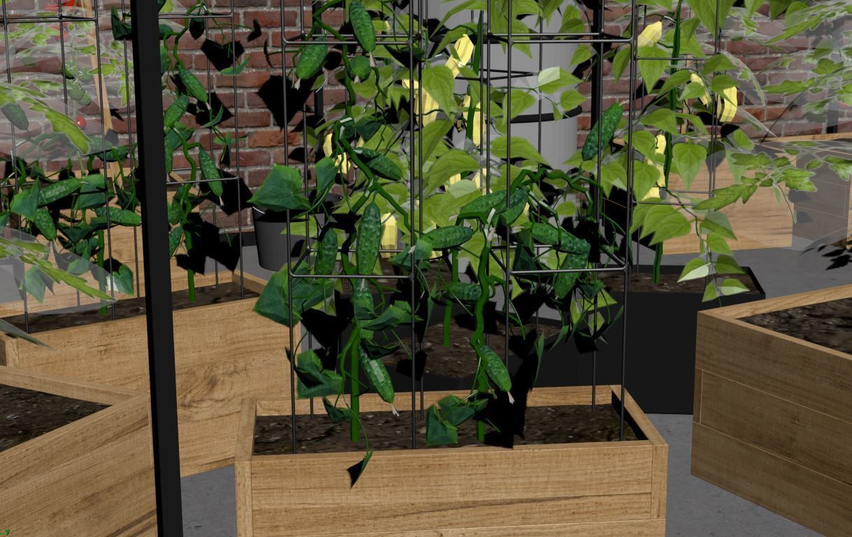 Greenhouse 3D model_24