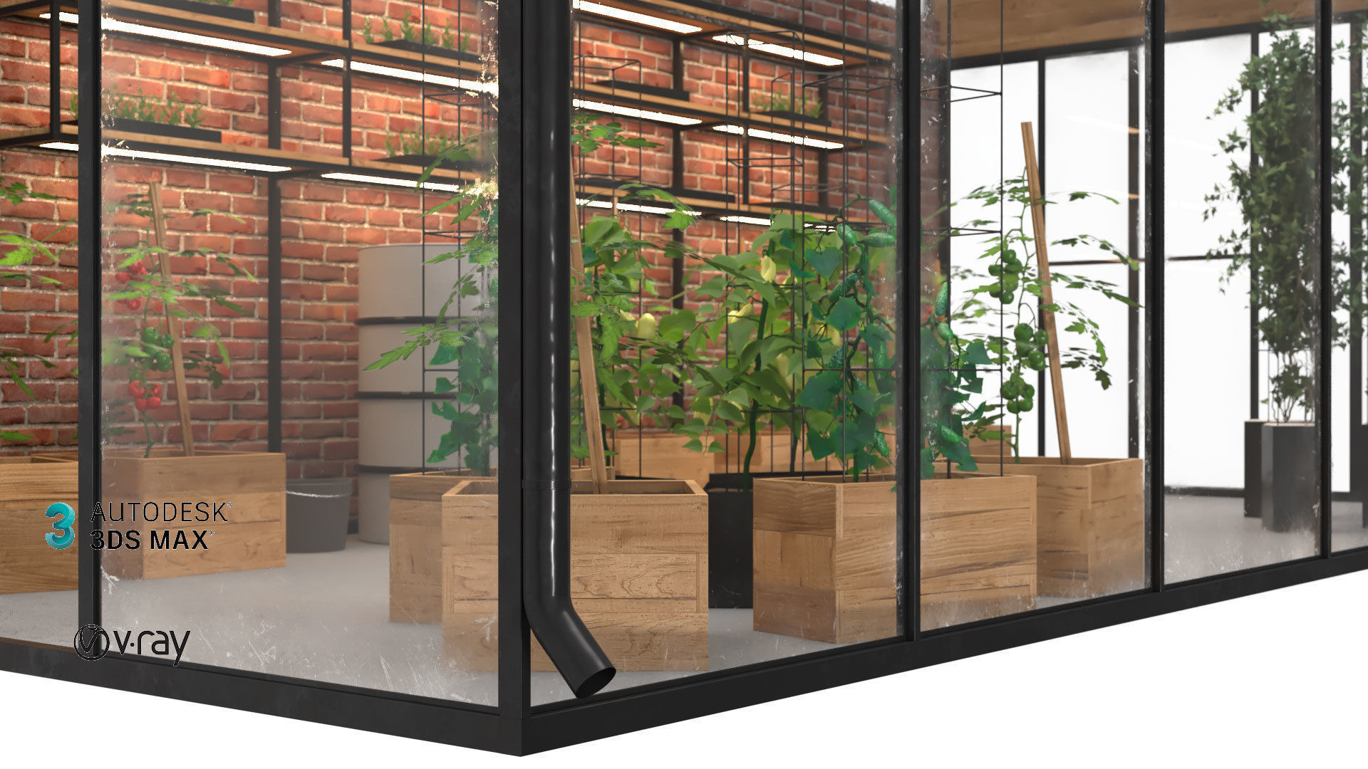 Greenhouse 3D model_5