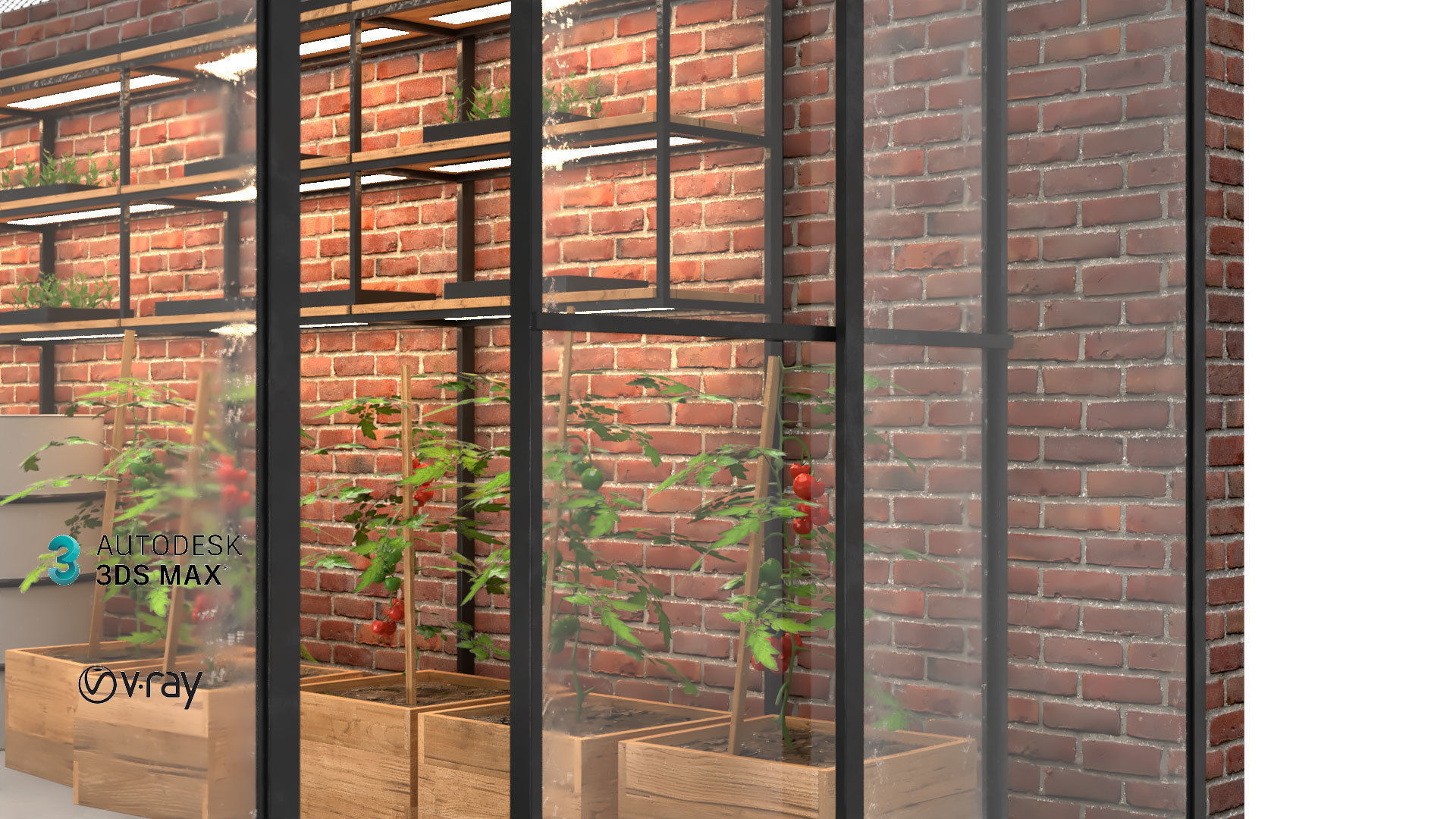 Greenhouse 3D model_6