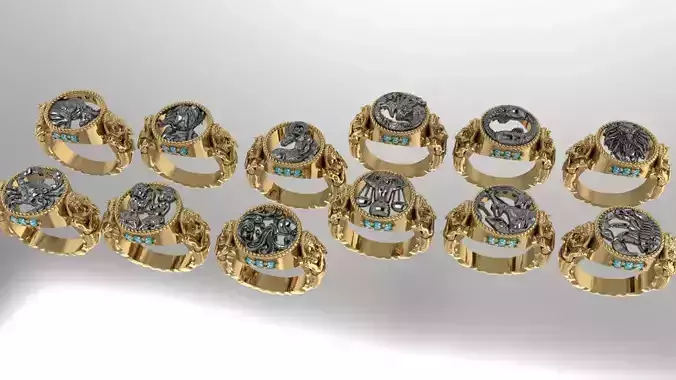 Zodiac Symbols theme 2 ring