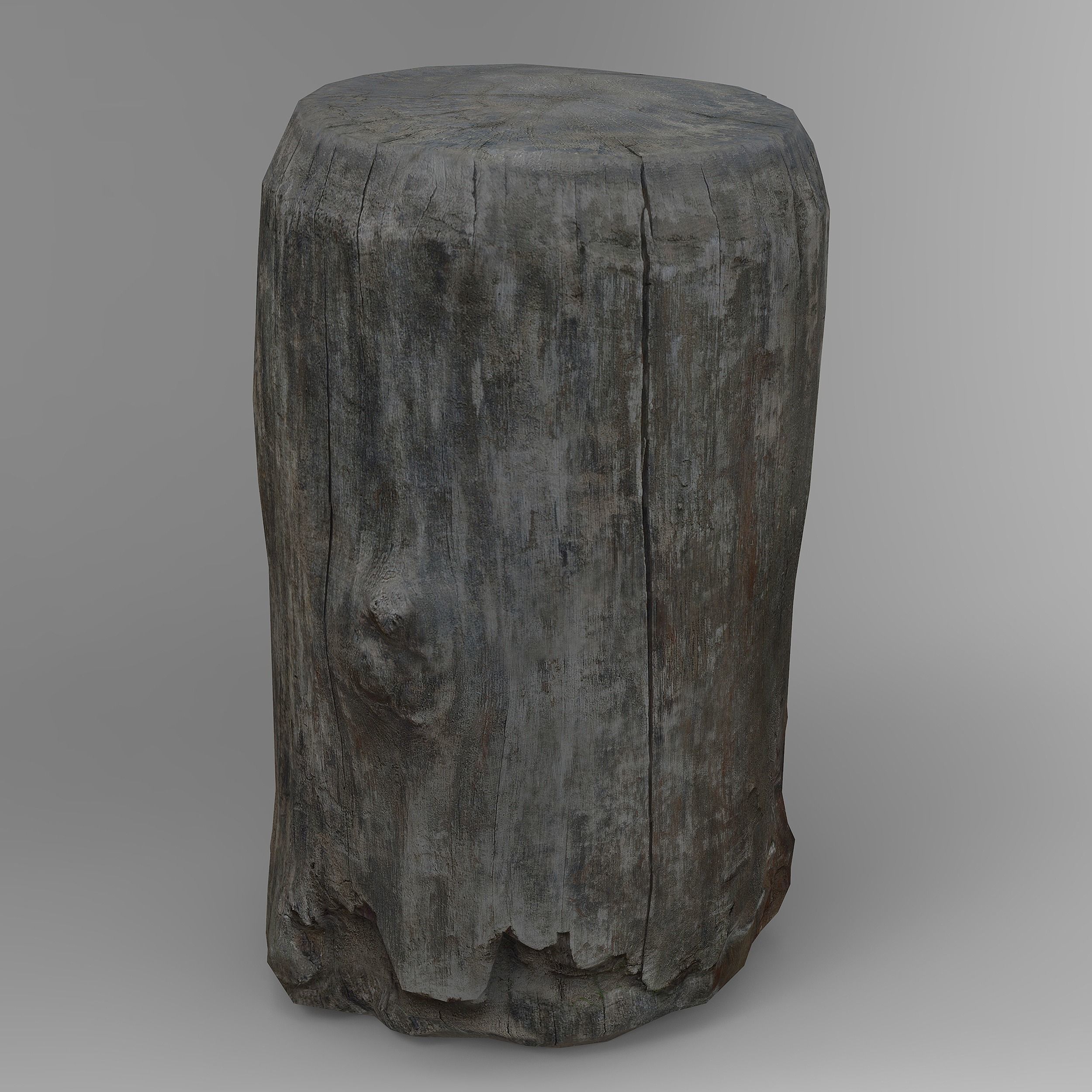 Tree Logs Low-poly 3D model_8