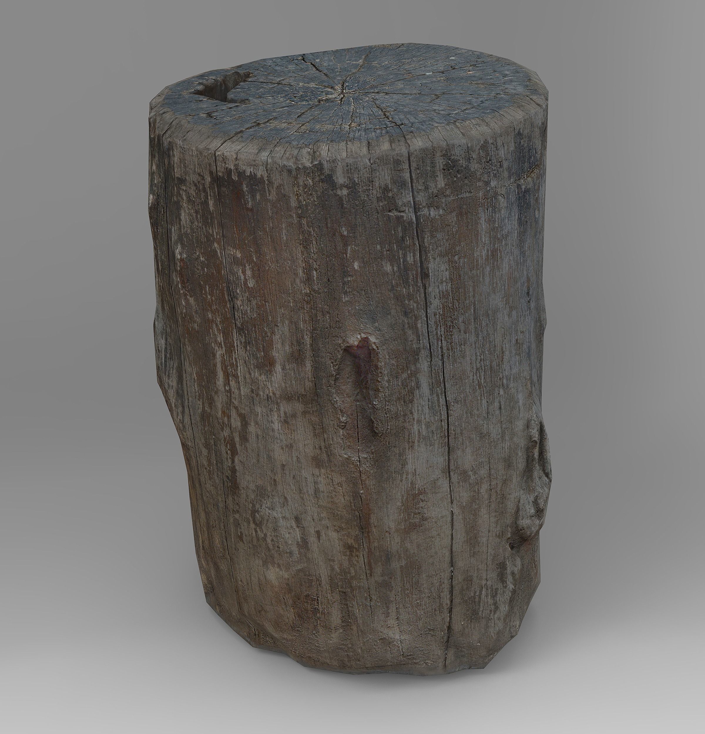 Tree Logs Low-poly 3D model_9