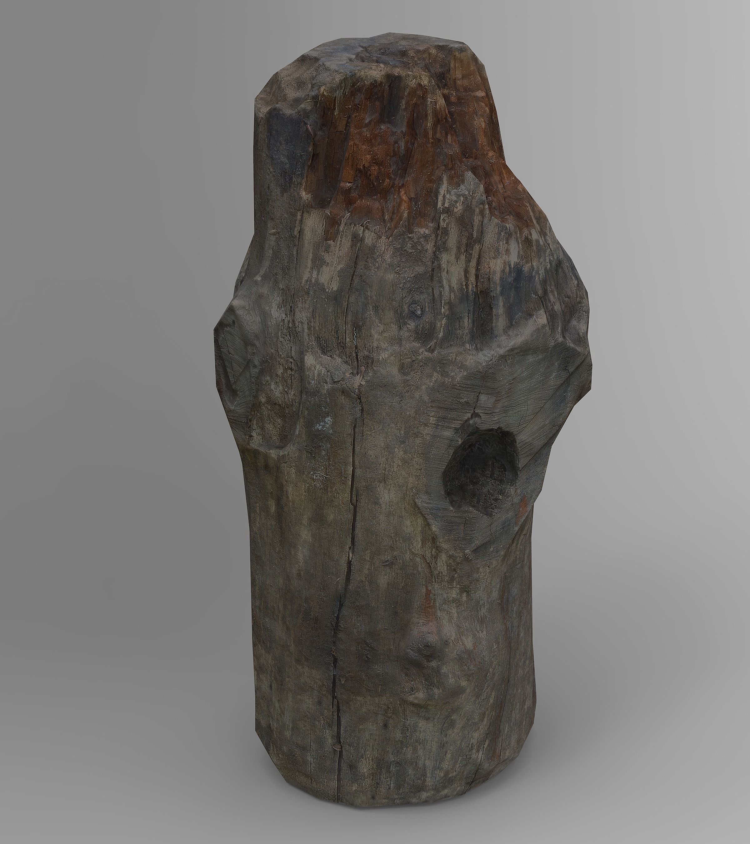 Tree Logs Low-poly 3D model_7