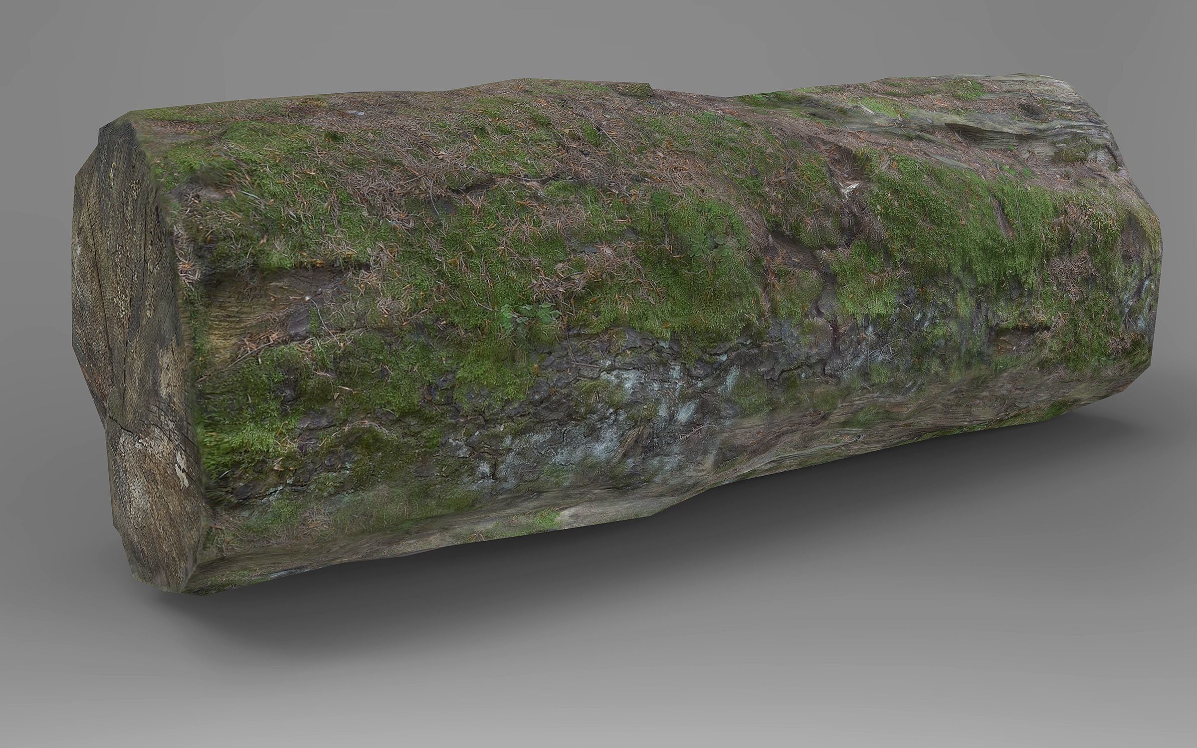 Tree Logs Low-poly 3D model_3