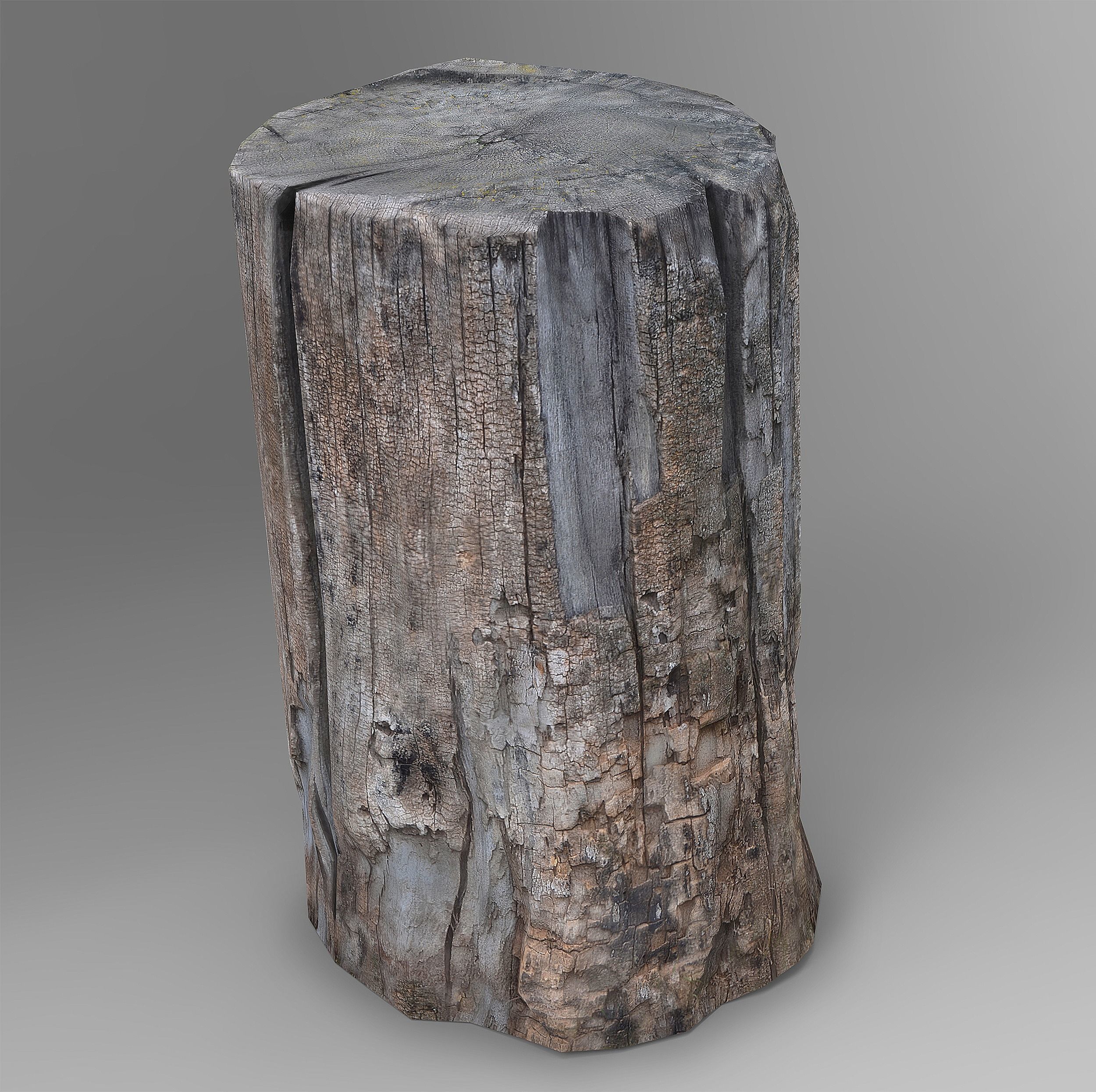 Tree Logs Low-poly 3D model_4