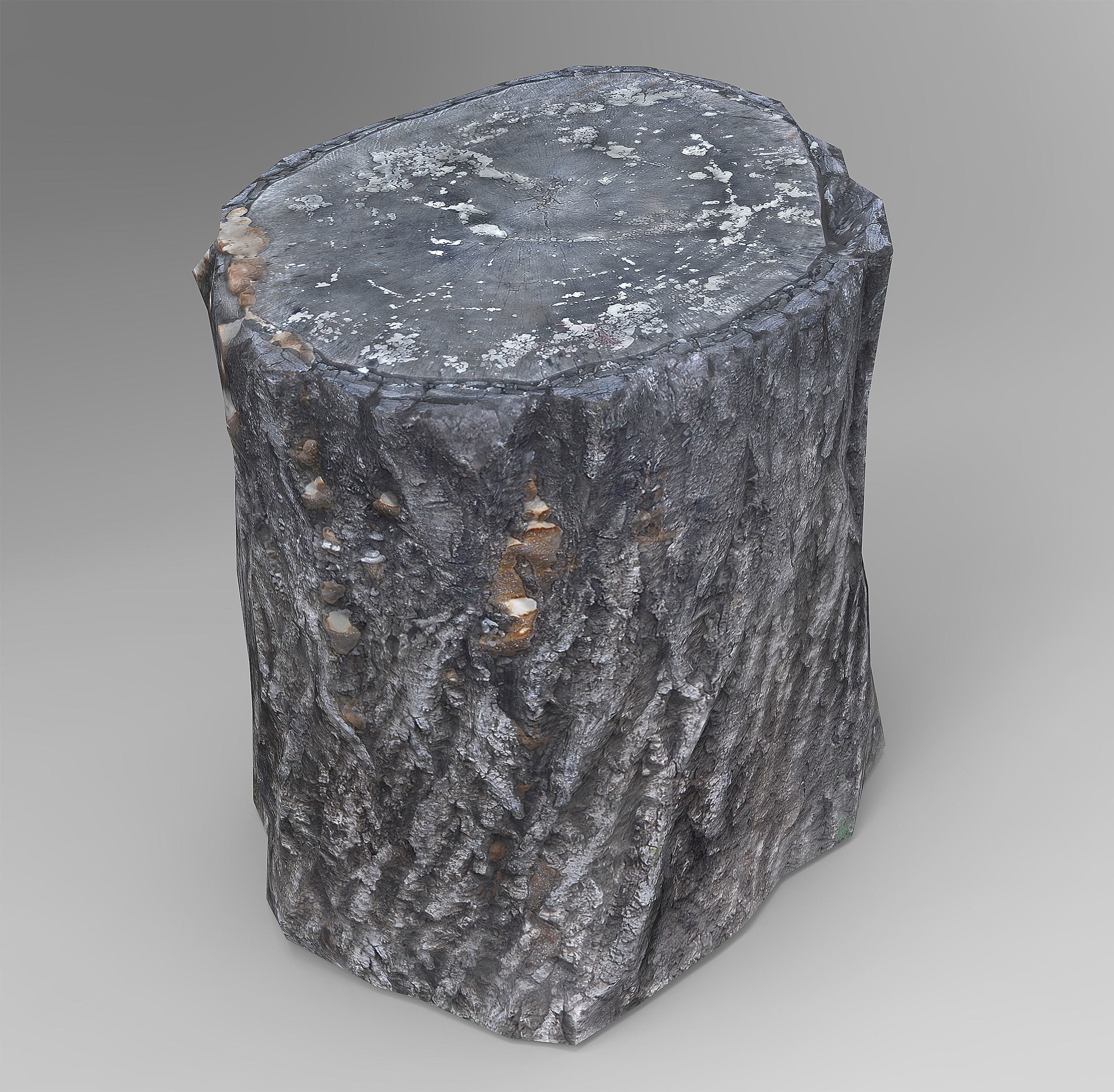 Tree Logs Low-poly 3D model_5