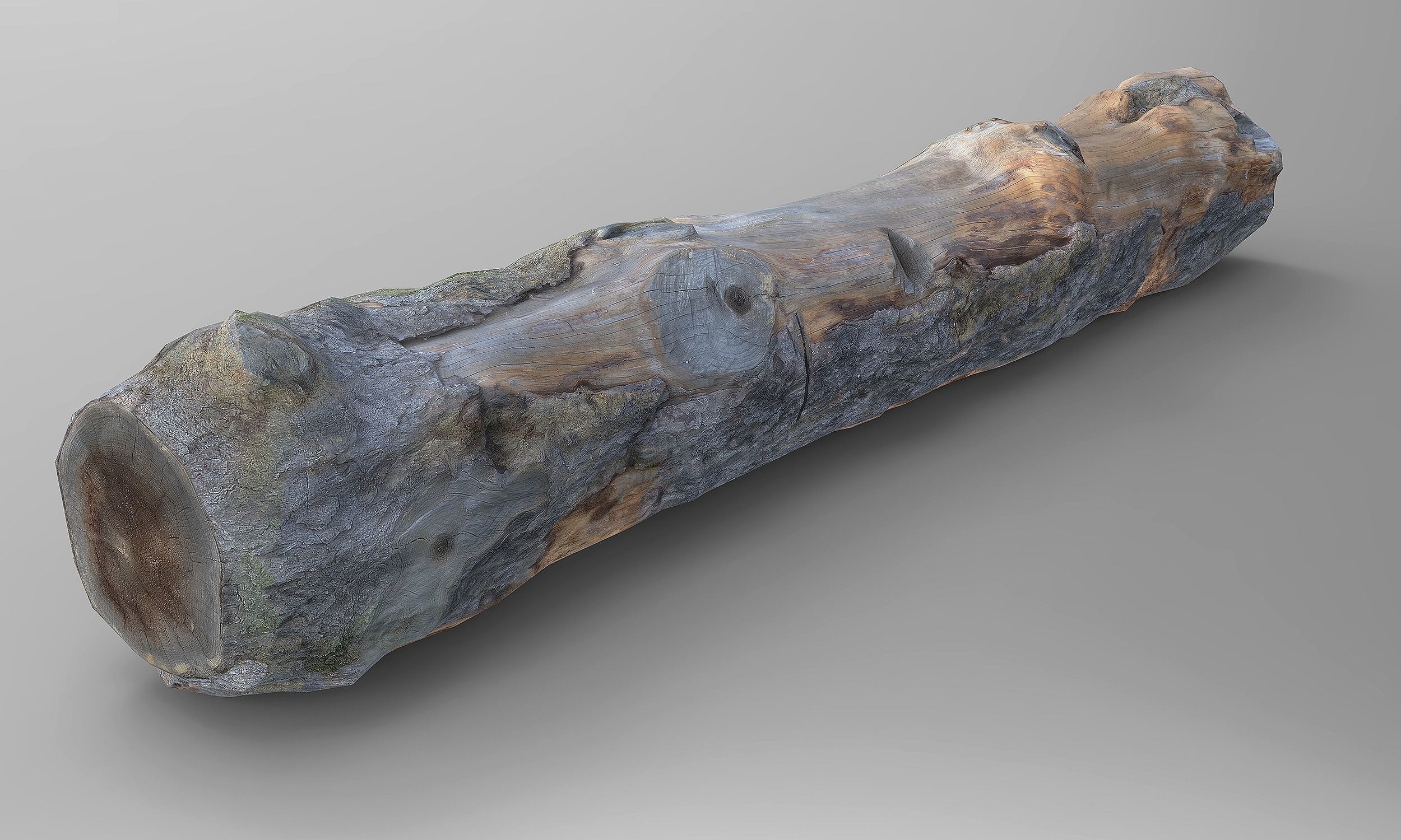 Tree Logs Low-poly 3D model_2