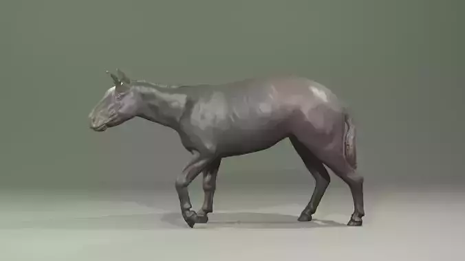 Urpferd Hyracotherium Eohippus prehistoric horse equine extinct